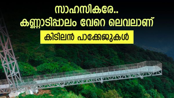  വാഗമൺ ഗ്ലാസ് ബ്രിഡ്ജിലേക്ക് പോകാം..പക്ഷേ,പ്രവേശനത്തിന് പുതിയ സംവിധാനം..പ്രത്യേക പാക്കേജും