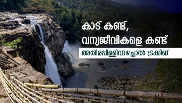 മഴയിൽ കാടിന്റെ ഭംഗി നുകർന്ന് അതിരപ്പിള്ളി-വാഴച്ചാൽ ട്രെക്കിങ്'; പുതിയ പാക്കേജുമായി വനംവകുപ്പ്