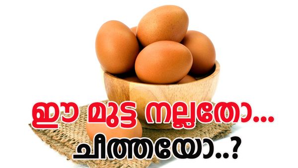 മുട്ട കേടായോ എന്ന് എങ്ങനെ അറിയും...? പൊട്ടിക്കേണ്ട, എളുപ്പവഴികള്‍ വേറെയുണ്ട്..!!