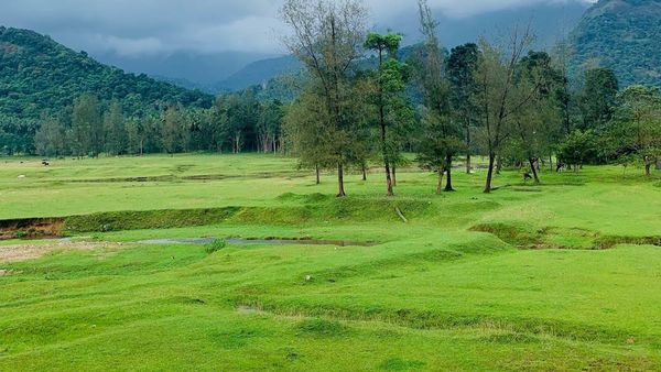 കക്കയത്തേക്ക് ഇനി അതിവേഗത്തിലെത്താം: തലയാട് മുതൽ മലപുറം വരെ മലയോര ഹൈവേ വരുന്നു