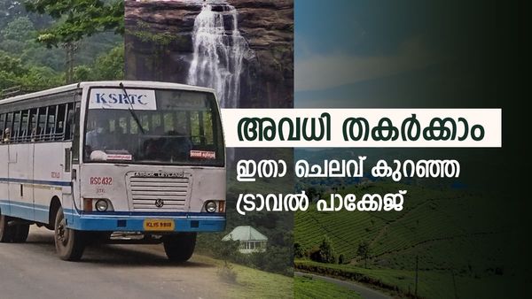 മഴ നനയാം, കാട് കയറാം, കോട കാണാം; പൈസ വല്ലാതെ പൊടിക്കേണ്ട, അവധിയാഘോഷിക്കാൻ പാക്കേജ് ഇതാ