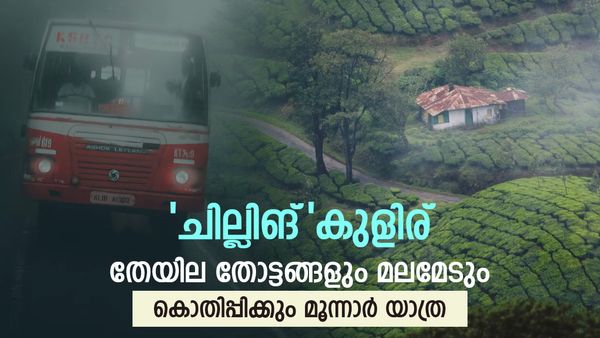 കുളിരും മഴയും നിറഞ്ഞ മൂന്നാർ; തേയിലത്തോട്ടങ്ങളും വെള്ളച്ചാട്ടങ്ങളും..കൊതിപ്പിക്കുന്നൊരു യാത്ര