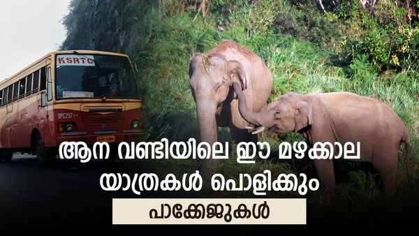 മൂന്നാർ, ഗവി, കുംഭാവരുട്ടി, പൊൻമുടി..;അമ്പമ്പോ മഴക്കാലത്തെ കിടിലൻ യാത്രകൾ, അതും ആനവണ്ടിയിൽ..പാക്കേജുകൾ