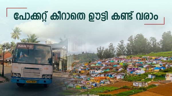 വേണ്ടത് വെറും 348 രൂപ; ആനവണ്ടിയിൽ ഊട്ടി കണ്ട് മടങ്ങി വരാം..ഒരു അടിപൊളി യാത്ര,അറിയാം