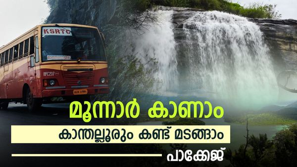 കോട മഞ്ഞിൽ മൂന്നാറിലെ തേയില തോട്ടം കണ്ട്, കാന്തല്ലൂരിലെ ആപ്പിൾ തോട്ടത്തിലും കയറി മടങ്ങാം; പാക്കേജ് ഇതാ