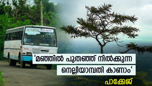 കോടമഞ്ഞിൽ കുളിരണിഞ്ഞ് നെല്ലിയാമ്പതി; ബാഗ് പാക്ക് ചെയ്തോളൂ, ആനവണ്ടി റെഡി