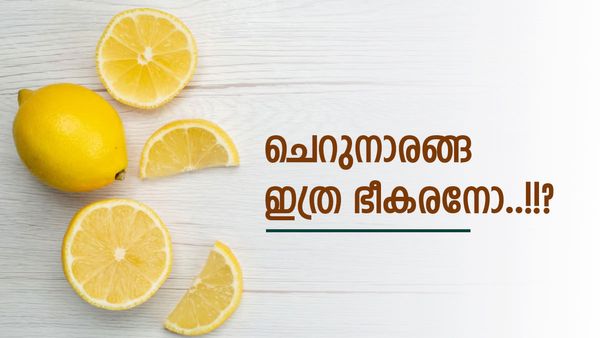 സ്‌പൈസി വിഭവങ്ങള്‍ക്കൊപ്പം ചെറുനാരങ്ങ കഴിക്കല്ലേ..!!? പണികിട്ടും, അറിയണം ഇക്കാര്യങ്ങള്‍