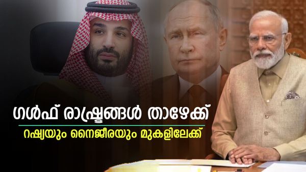 ഇന്ത്യയിലേക്ക് എണ്ണ ഇറക്കുമതി: യുഎഇക്ക് വന്‍ വീഴ്ച, സൗദി മൂന്നാമത് തന്നെ, അമ്പരപ്പിച്ച് നൈജീരിയ