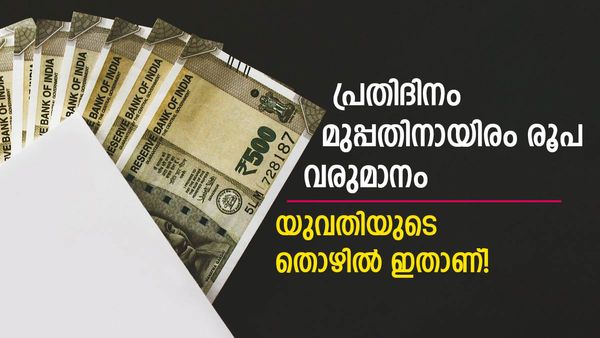 ഈ ജോലി ആരും കൊതിച്ചുപോകും; ഒരു ദിവസം മുപ്പതിനായിരം രൂപ വരെ സമ്പാദിക്കുന്ന യുവതി.. സംഭവം ഇങ്ങനെ