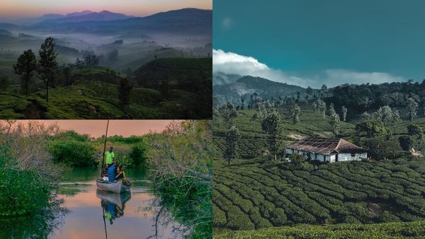  മൂന്നാര്‍ ജംഗിള്‍ സഫാരി, മണ്‍റോ തുരുത്ത്,മലക്കപ്പാറ,ഗവി, വയനാട്; കുറഞ്ഞ ചെലവിൽ പാക്കേജ്