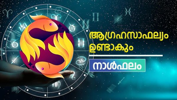 ഈ നാളുകാർക്ക് ആഗ്രഹസാഫല്യം, ദാമ്പത്യജീവിതം സന്തോഷപ്രദമാകും, ജോലിയിൽ തിളങ്ങും, നാൾഫലം