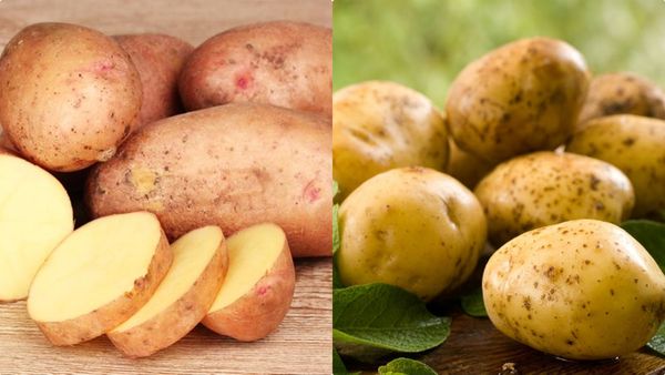 ഉരുളക്കിഴങ്ങ് ശീലമാക്കുക, ഈ വിധത്തില്‍ കഴിച്ചാല്‍ ഭാരം കുറയും, ഗുണങ്ങള്‍ ഇങ്ങനെ