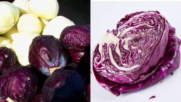 പർപ്പിൾ കാബേജ് കാണുമ്പോൾ മുഖം തിരിക്കേണ്ട, പോഷക ​ഗുണങ്ങളുടെ കലവറ !