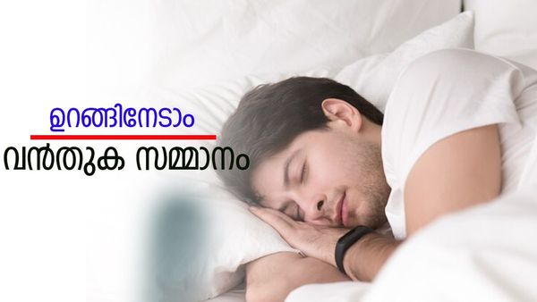 ചുമ്മാ കിടന്ന് ഉറങ്ങിയാൽ കയ്യിൽ കിട്ടും 90000 രൂപ! സംഭവം  കിടിലനാണ്.. വിശദമായി അറിയാം
