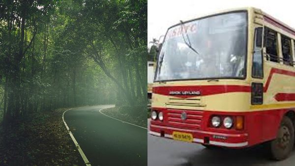  കാടിന് നടുവിലൂടെ ഒരു കിടിലൻ യാത്ര; സഞ്ചാരികളുടെ ഇഷ്ടയിടത്തേക്ക് പോകാം ആനവണ്ടിയിൽ