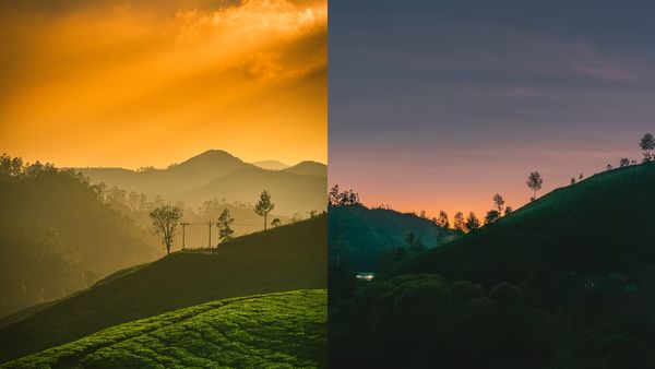മഞ്ഞിൽ കുളിച്ച് നിൽക്കുന്ന സൈലന്റ് വാലി, മൂന്നാർ, നെല്ലിയാമ്പതി..ചെലവ് കുറഞ്ഞ പാക്കേജുകൾ