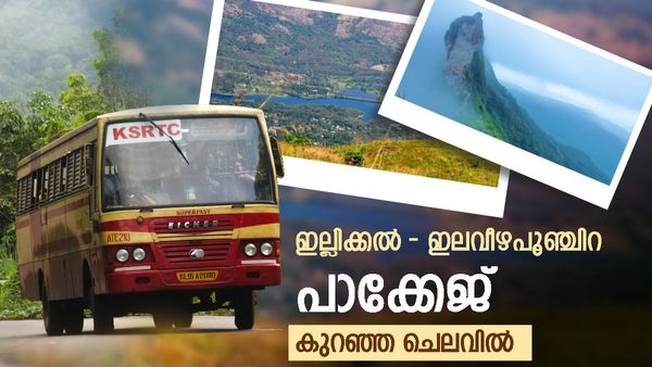  ഇല്ലിക്കൽക്കല്ലിൽ ഇപ്പോൾ പോയില്ലെങ്കിൽ എപ്പോഴാണ്? ഇലവീഴാപൂഞ്ചിറയും കൊച്ചരീകലും കാണാം..പാക്കേജ് 