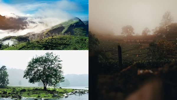 ഡിസംബറിന്റെ കുളിരിലൊരു മൂന്നാർ യാത്ര മാത്രമല്ല,ചെലവ് കുറഞ്ഞ 5 പാക്കേജുകൾ ഇതാ