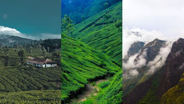 മൂന്നാറും ഗവിയും വാഗമണ്ണും മാത്രമല്ല ഈ പാക്കേജ് തിരഞ്ഞെടുക്കൂ, ആനവണ്ടി യാത്ര പൊളിക്കും
