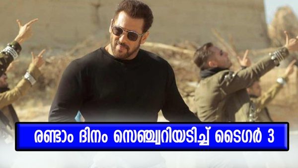 ബോക്‌സോഫീസില്‍ ടൈഗര്‍ ത്രീയുടെ വിസ്‌ഫോടനം, രണ്ടാം ദിനം സല്‍മാന്‍ ഖാന്‍ ചിത്രം കളക്ട് ചെയ്തത് ഇത്ര