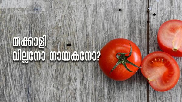 എന്നും തക്കാളി കഴിക്കുന്നവരാണോ നിങ്ങള്‍..? ഇക്കാര്യം നിര്‍ബന്ധമായും അറിഞ്ഞിരിക്കണം