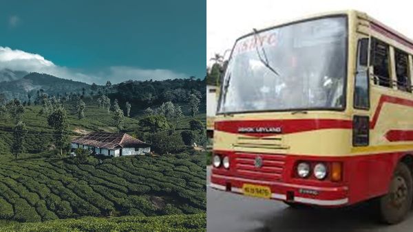  മൂന്നാർ മാത്രമാക്കേണ്ട, വട്ടവടയും മാട്ടുപെട്ടുയും കണ്ട് മടങ്ങാം; ഇതാ ചെലവ് കുറഞ്ഞ പാക്കേജ്