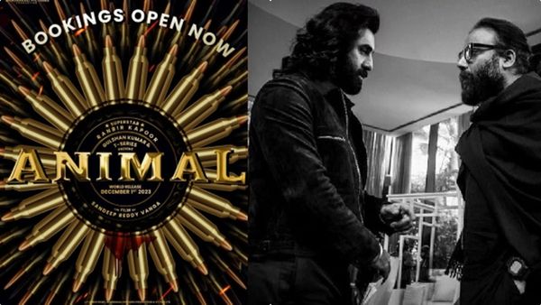 രണ്‍ബീറിന്റെ ഗര്‍ജനം, ബോളിവുഡില്‍ അമ്മാനമാടി ആനിമല്‍; രണ്ടാം ദിനത്തില്‍ കളക്ഷന്‍ ഇത്ര