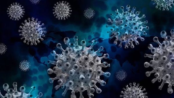 സംസ്ഥാനത്തെ കൊവിഡ് കേസുകളില്‍ വർധനവ്: ഇന്നലെ രോഗം സ്ഥിരീകരിച്ചത് 265 പേർക്ക്, ഒരു മരണം