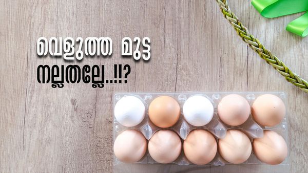 വെളുത്ത മുട്ടയേക്കാള്‍ കേമന്‍ തവിട്ടുനിറത്തിലുള്ള മുട്ടയാണോ..? ഇത്രയും കാലം കരുതിയത് മണ്ടത്തരം..!!