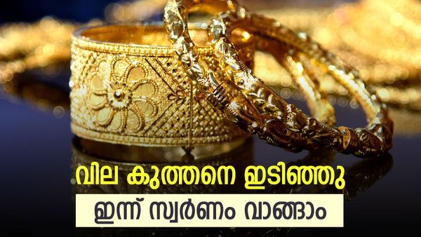 സ്വര്‍ണവിലയില്‍ വന്‍ ഇടിവ്; ഈ മാസത്തെ കുറഞ്ഞ വില... ഏറ്റവും പുതിയ നിരക്ക് അറിയാം