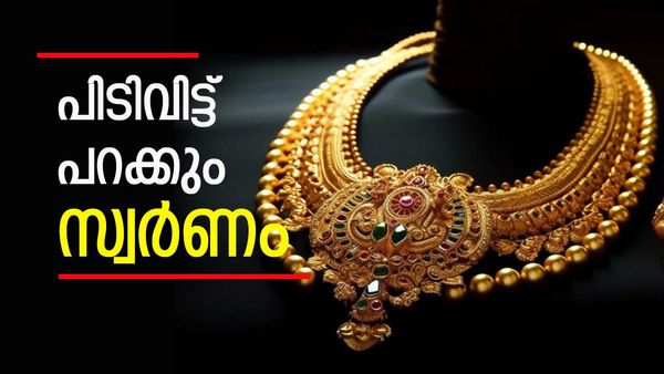 വീണ്ടും കുതിച്ച് സ്വര്‍ണം; വില ഉയരുന്നത് റെക്കോര്‍ഡിലേക്ക്... ഇന്നത്തെ വില അറിയാം