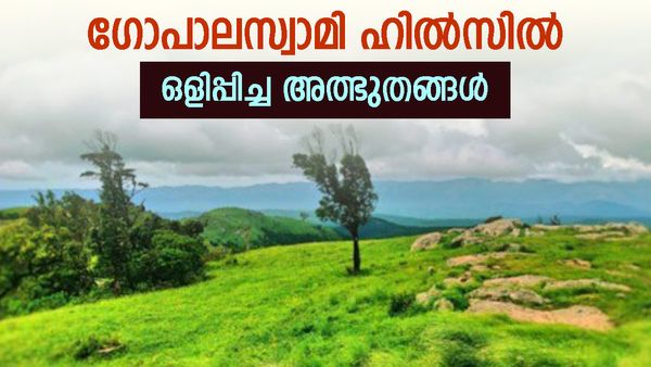 ഇത് കര വേറെയാ മക്കളേ..! ഗുണ്ടൽപേട്ട് പോവുന്നവർ ഗോപാലസ്വാമി ഹിൽസ് കണ്ടാൽ പിന്നെ തിരിച്ചുപോരില്ല...