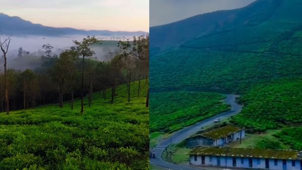 നീലഗിരിയുടെ നിഗൂഢ സൗന്ദര്യം പേറിയ 'ഗൂഡല്ലൂർ'; ക്രിസ്‌മസ്‌ അവധി ഇവിടെയാക്കാം, ഊട്ടിയിലും കയറാം...