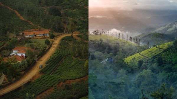  ഇടുക്കിയിലേക്കാണോ? ഈ 5 സ്ഥലങ്ങൾ മിസ് ആക്കല്ലേ, വെറുതേയാണോ ആളുകൾ ഒഴുകുന്നത്..