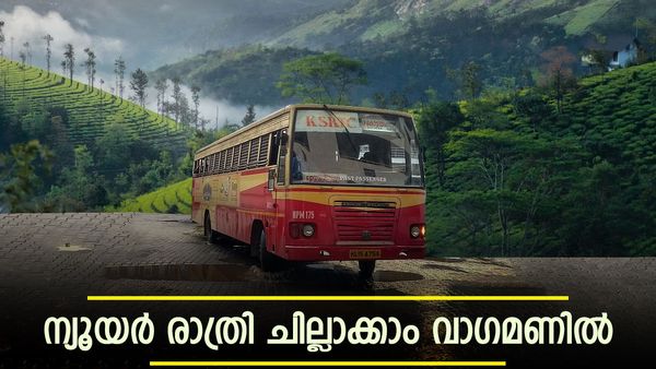 വാഗമണ്ണിൽ ന്യൂയർ പൊളിക്കാം; കോടമഞ്ഞിൽ ക്യാമ്പ് ഫയറും ഡിജെയുമായി ആഘോഷിക്കാം, കെഎസ്ആർടിസി പാക്കേജ്