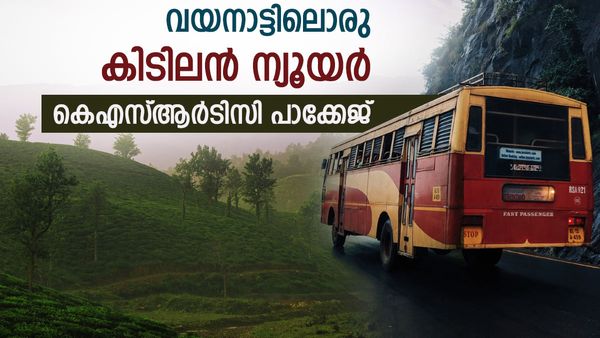 ന്യൂയർ @900 കണ്ടി; ബുഫേയും സിനി മ്യൂസിക്കുമെല്ലാമായി ഒരു തകർപ്പൻ പാക്കേജ്, കെഎസ്ആർടിസി വക