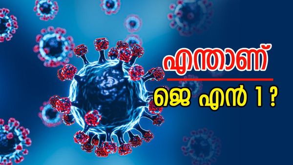 എന്താണ് ജെ എൻ 1? എന്തൊക്കെയാണ് ലക്ഷണങ്ങൾ; ശ്രദ്ധിക്കേണ്ട കാര്യങ്ങൾ എന്തെല്ലാമാണ്?
