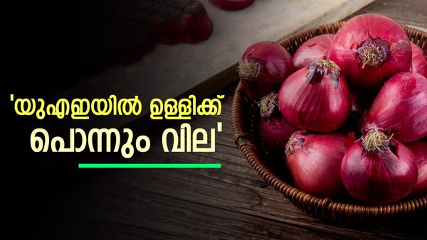 യുഎഇ പ്രവാസികളെ കരയിപ്പിച്ച് ഉള്ളി വില: വർധനവ് മൂന്നിരട്ടിയിലേറെ, എല്ലാം ഇന്ത്യ കാരണം