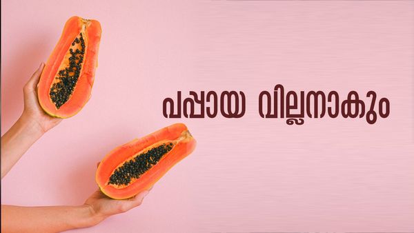 പപ്പായക്കൊപ്പം തൈര് കഴിക്കാമോ? ഉറപ്പായും ഒഴിവാക്കേണ്ടത് ഈ ഭക്ഷണങ്ങള്‍
