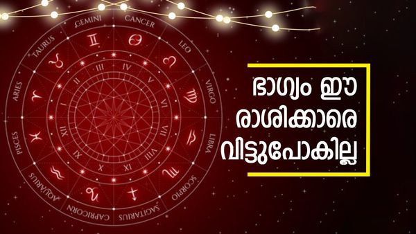 ഐശ്വര്യവും സമൃദ്ധിയും വിട്ടുപോകില്ല, സമ്പത്തിലൂടെ പുരോഗതി സാധ്യമാകും, ഭാഗ്യം ഇവരെ കടാക്ഷിക്കും