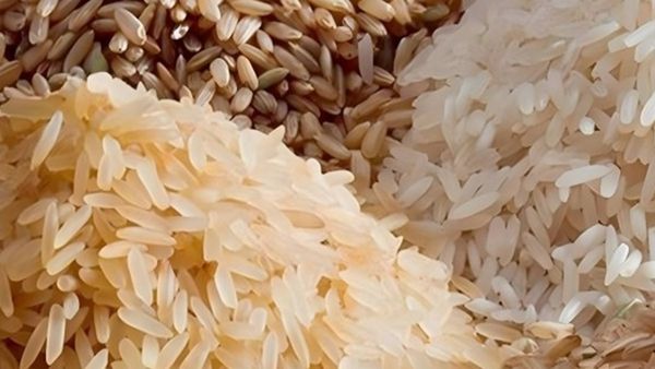 ഭാരത് അരിയുമായി കേന്ദ്രം; കിലോയ്ക്ക് 25 രൂപ, പദ്ധതി ആലോചനയിലെന്ന് റിപ്പോർട്ട്; വിശദ വിവരങ്ങൾ