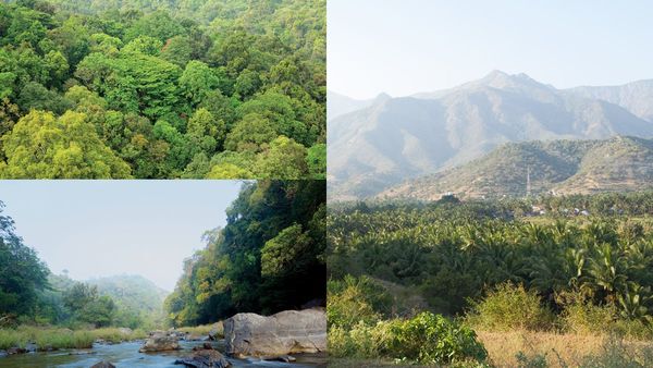 സൈലന്റ് വാലിയുടെ ഭംഗി അറിയാം..; സൈരന്ധ്രി നദിയുടെ കാഴ്‌ചകൾ കാണാം, ഈ ട്രിപ്പ് പൊളിക്കും