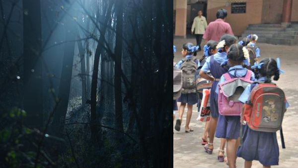 കൊല്ലം തൂവൽമലയിൽ വിദ്യാർത്ഥികൾ കാട്ടിനുള്ളിൽ അകപ്പെട്ടു; രക്ഷാപ്രവർത്തനം തുടരുന്നു, പ്രദേശത്ത് കനത്ത മഴ