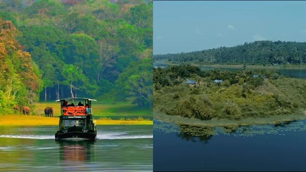 ഇടുക്കിയിലെ മിടുക്കിയാണ് തേക്കടി..; വന്യമായ യാത്ര ആഗ്രഹിക്കുന്നവർക്ക് പറ്റിയ ഇടം, ന്യൂയർ ഇവിടെ തകർക്കാം...