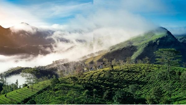 മഞ്ഞിൽ പൊതിഞ്ഞ വാഗമൺ; എന്തുകൊണ്ട് ഇപ്പോൾ പോകണം, എന്തൊക്കെ കാണണം, അറിയാം
