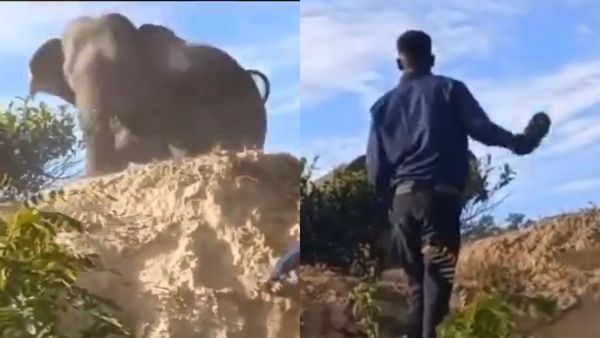 നീ എന്ത് കാട്ടാനാടാ ..! ചെരുപ്പൂരി ആനയെ ഭയപ്പെടുത്തി യുവാക്കൾ, വൈറൽ വീഡിയോ