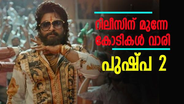 റിലീസിന് ഇനിയും മാസങ്ങള്‍; പ്രീ റിലീസിന് കോടികള്‍ വാരി പുഷ്പ 2, ഒടിടി റൈറ്റ്‌സിന് കിട്ടിയത് ഇത്ര