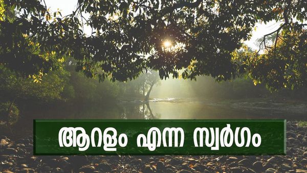 പശ്ചിമ ഘട്ടത്തിന്റെ ഗാംഭീര്യം പേറുന്ന ആറളം; ഈ വന്യജീവി സങ്കേതം ഒരു പുത്തൻ അനുഭവമാകും, കാണാം...
