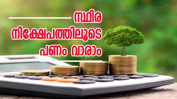 സ്ഥിര നിക്ഷേപം ഇനി വമ്പൻ ലാഭം തരും; ഈ പത്ത് ബാങ്കുകൾ ഏറ്റവും കൂടുതൽ പലിശ തരും, പട്ടിക ഇതാ...
