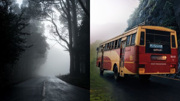 മഞ്ഞിൽ മൂടി ഗവി, സഞ്ചാരികളെ കാത്തിരിക്കുന്നത് അതിമനോരഹര കാഴ്ചകൾ; തേക്കടിയിൽ നിന്ന് പോകാം